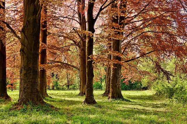 pražský park